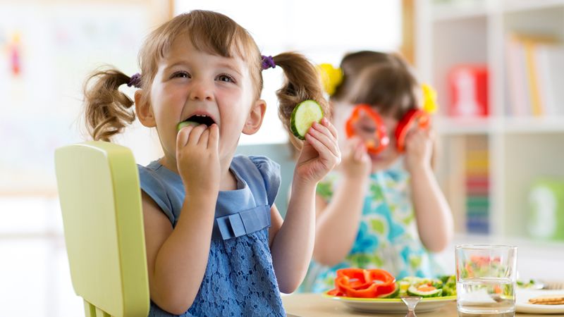 Schools and Children’s education and care 